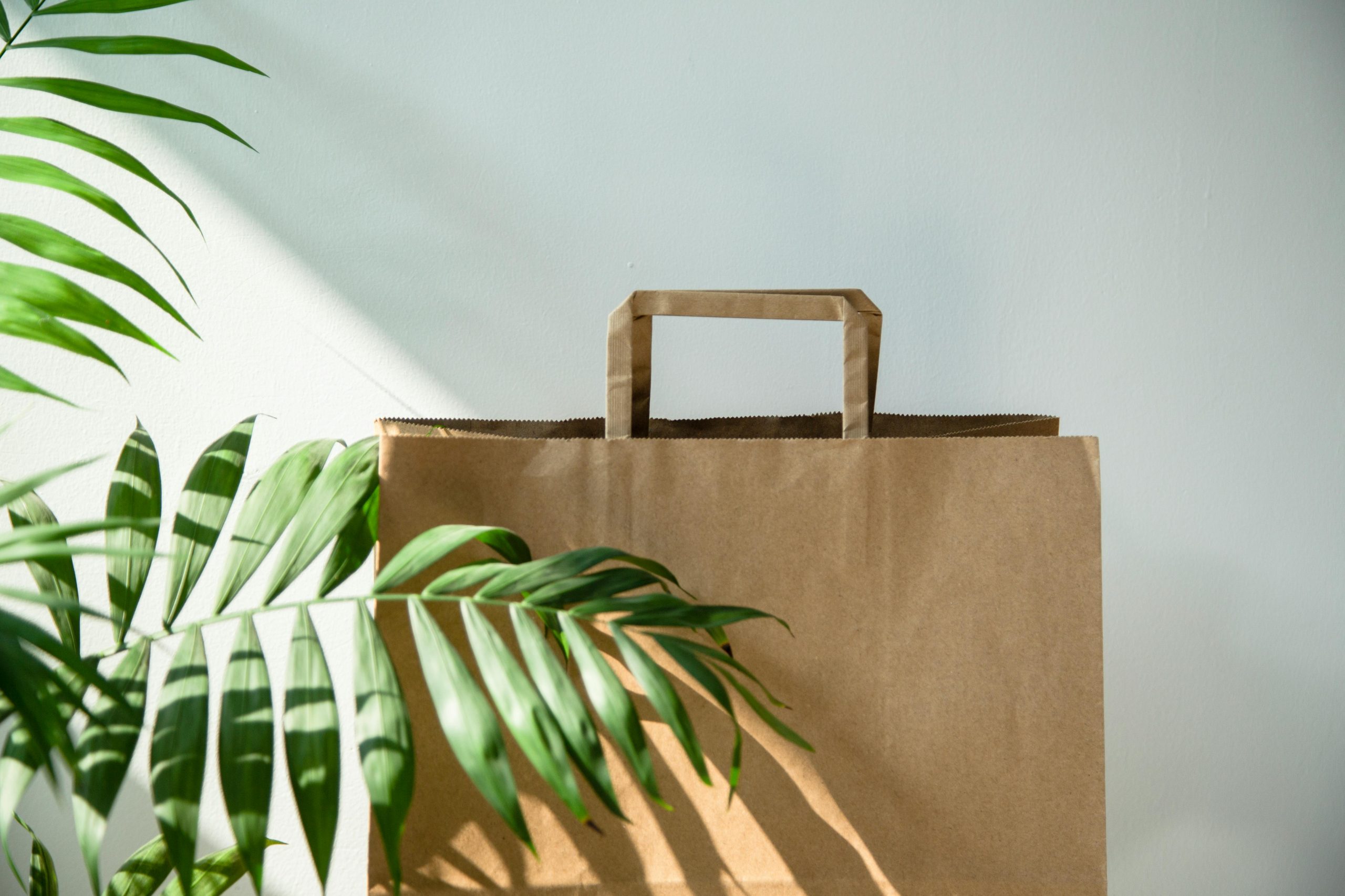 Brown paper shopping bag surrounded by lush green leaves in a minimalistic setting.