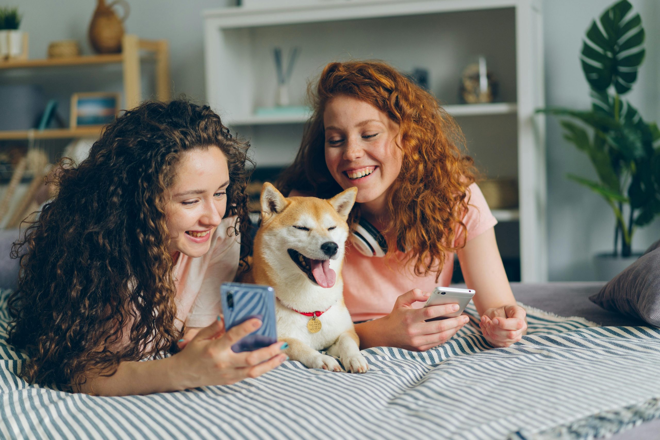 Two women enjoying leisure time with smartphones and a happy dog on a bed.